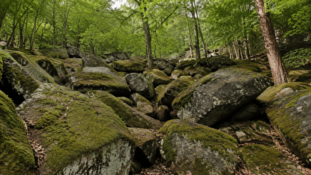 felsenmeer-lautertal-odenwald-wandern-mit-kindern-5